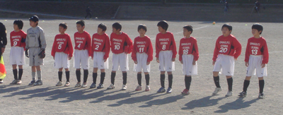 ������ �J�n�O�̔��Ԗ؃C���u��