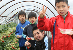 �É������̗l�q