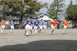 �É������̗l�q