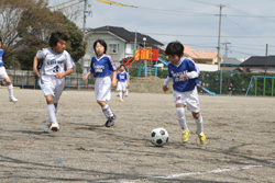 �É������̗l�q