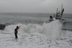 �É������̗l�q