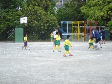 �e�q�T�b�J�[�̗l�q