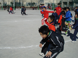 �e�q�T�b�J�[�̗l�q