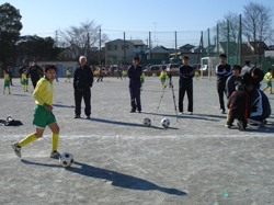 �e�q�T�b�J�[�̗l�q